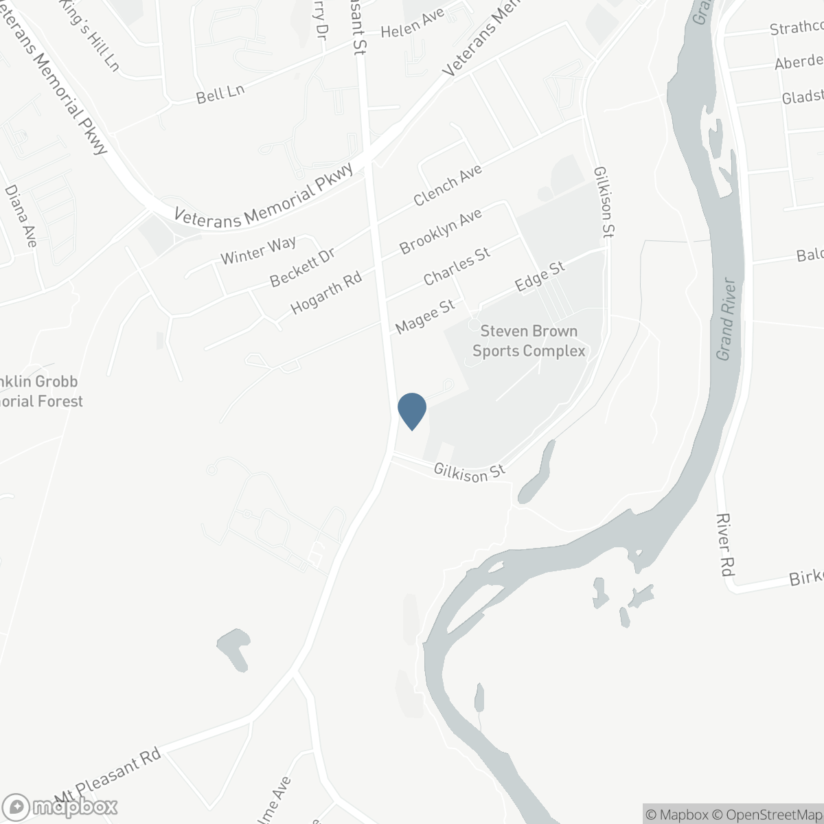 10 - 242 MOUNT PLEASANT STREET, Brantford, Ontario N3T 1V1